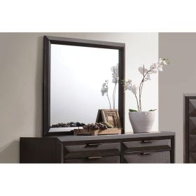 Merveille Mirror in Espresso YJ